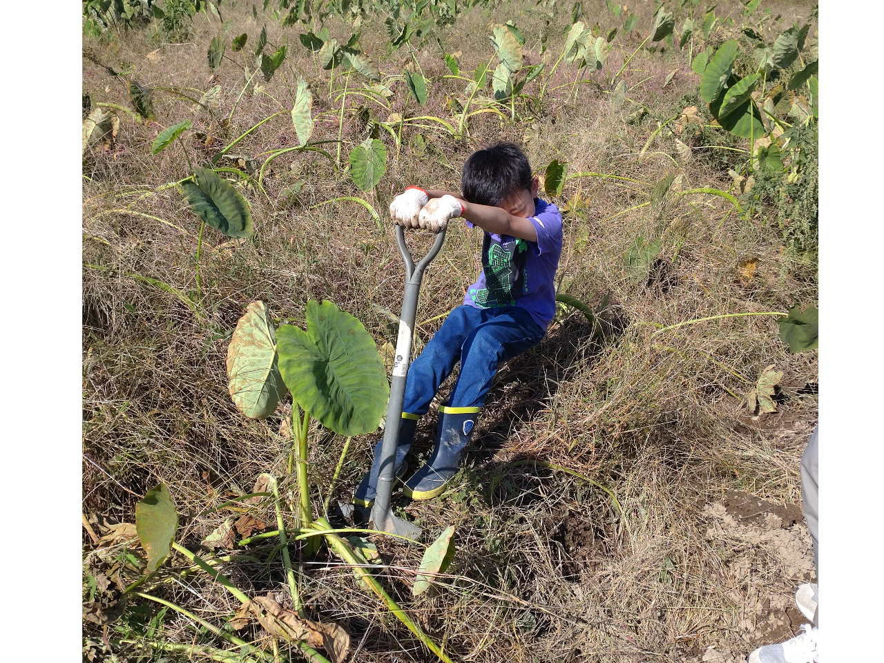 テコの原理でよいしょっ!