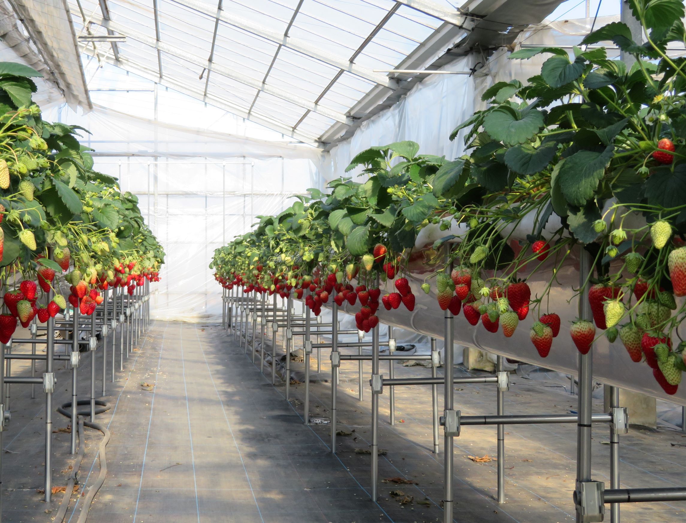 �������͓K�x�Ɋ��C�����Ă��܂��B