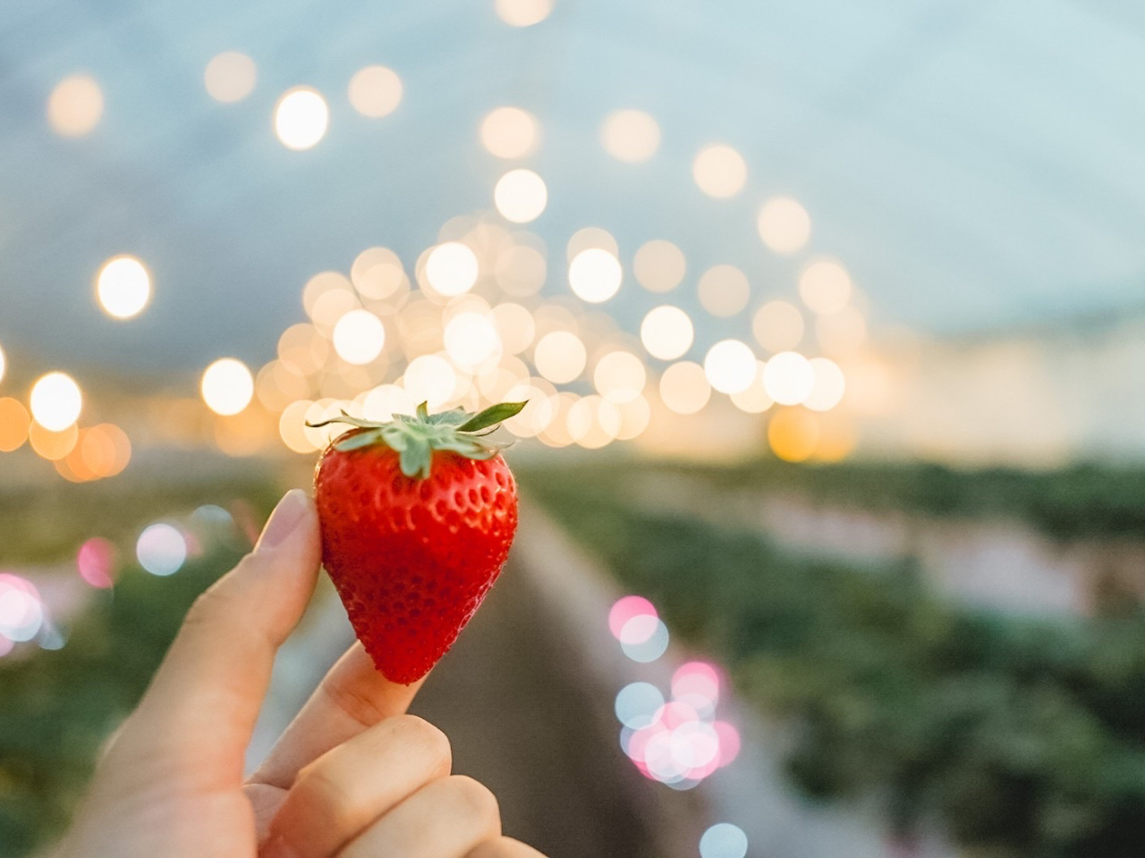 ���ݍ͔|�̂��ߗ������܂܂ł�������肪�y���߂܂��I�I�I