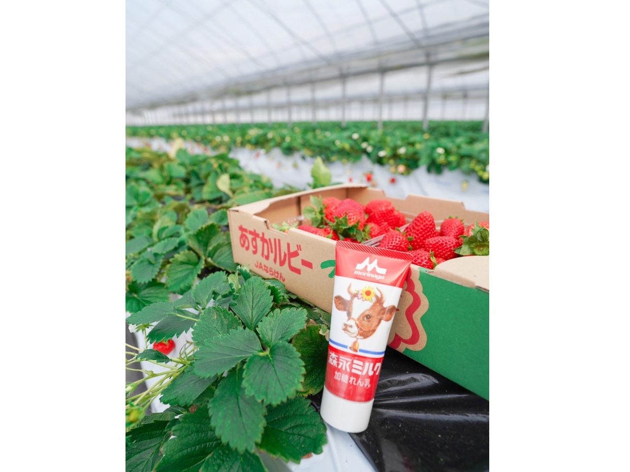 �����̎�������OK