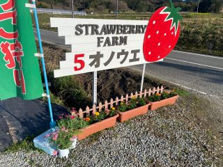 奈良県明日香村 イチゴ食べ放題 オノウエ農園
