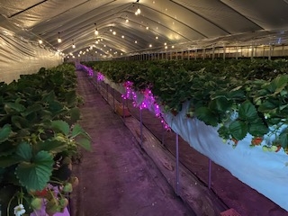 �n�E�X���Ȃ̂œ~�ł������Ȃ���������肪�y���߂܂���