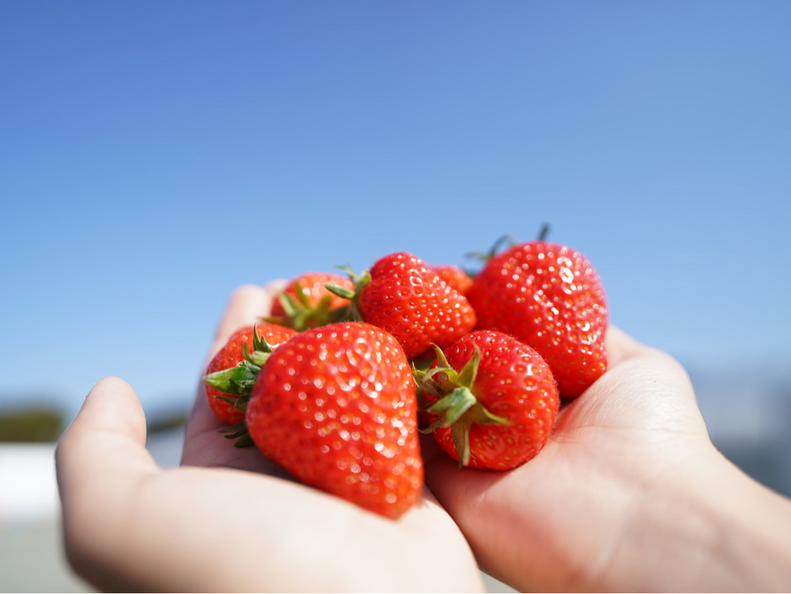 �c�����Ƃ��Ă���W���[�V�[�Ȃ��������r�[