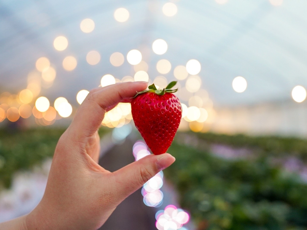 �����ł��؂₩�ȍ���ŊÂ݂������ޔT��