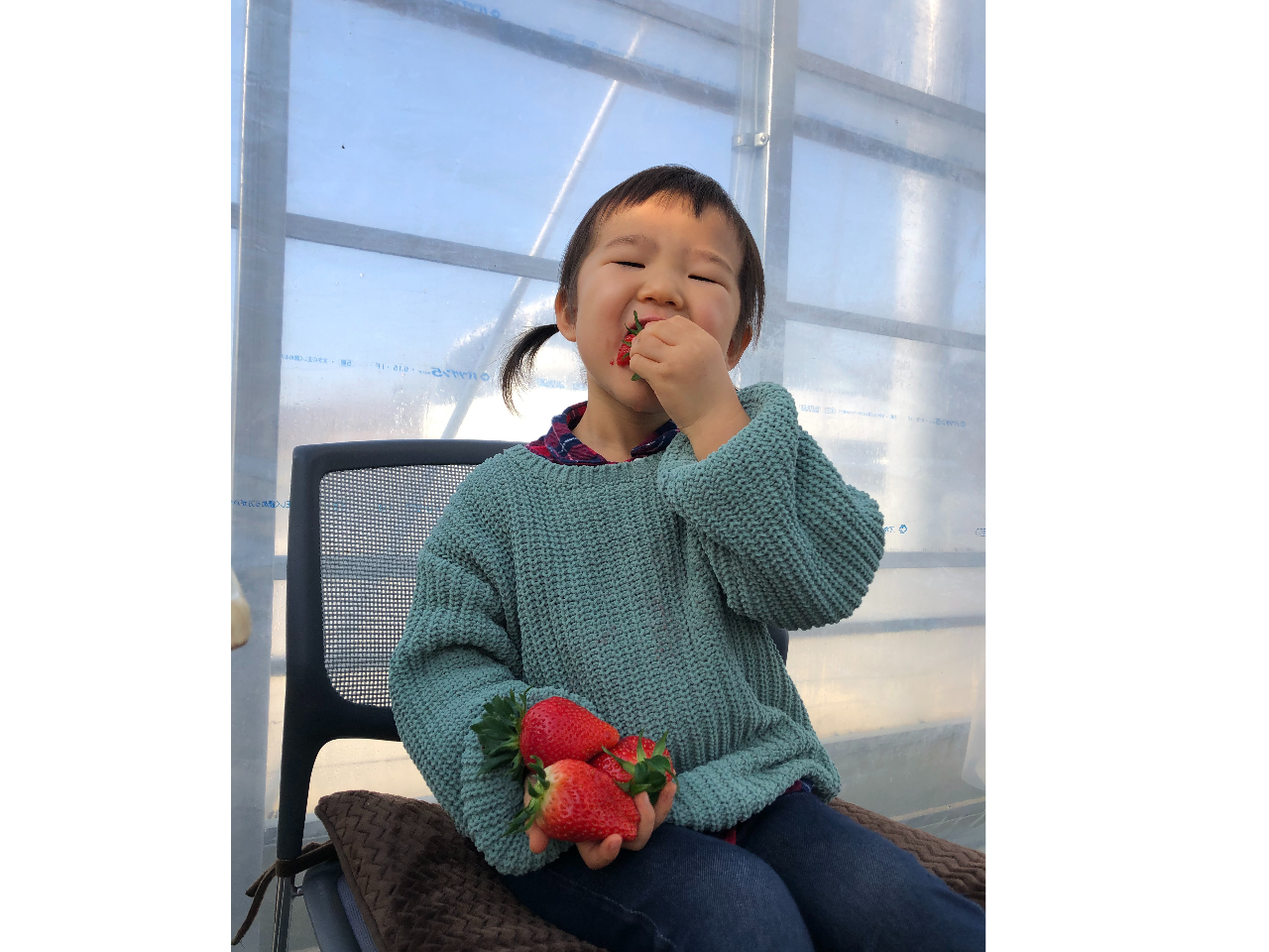 大きないちごがたくさん。いちごを頬張るお顔が素敵。