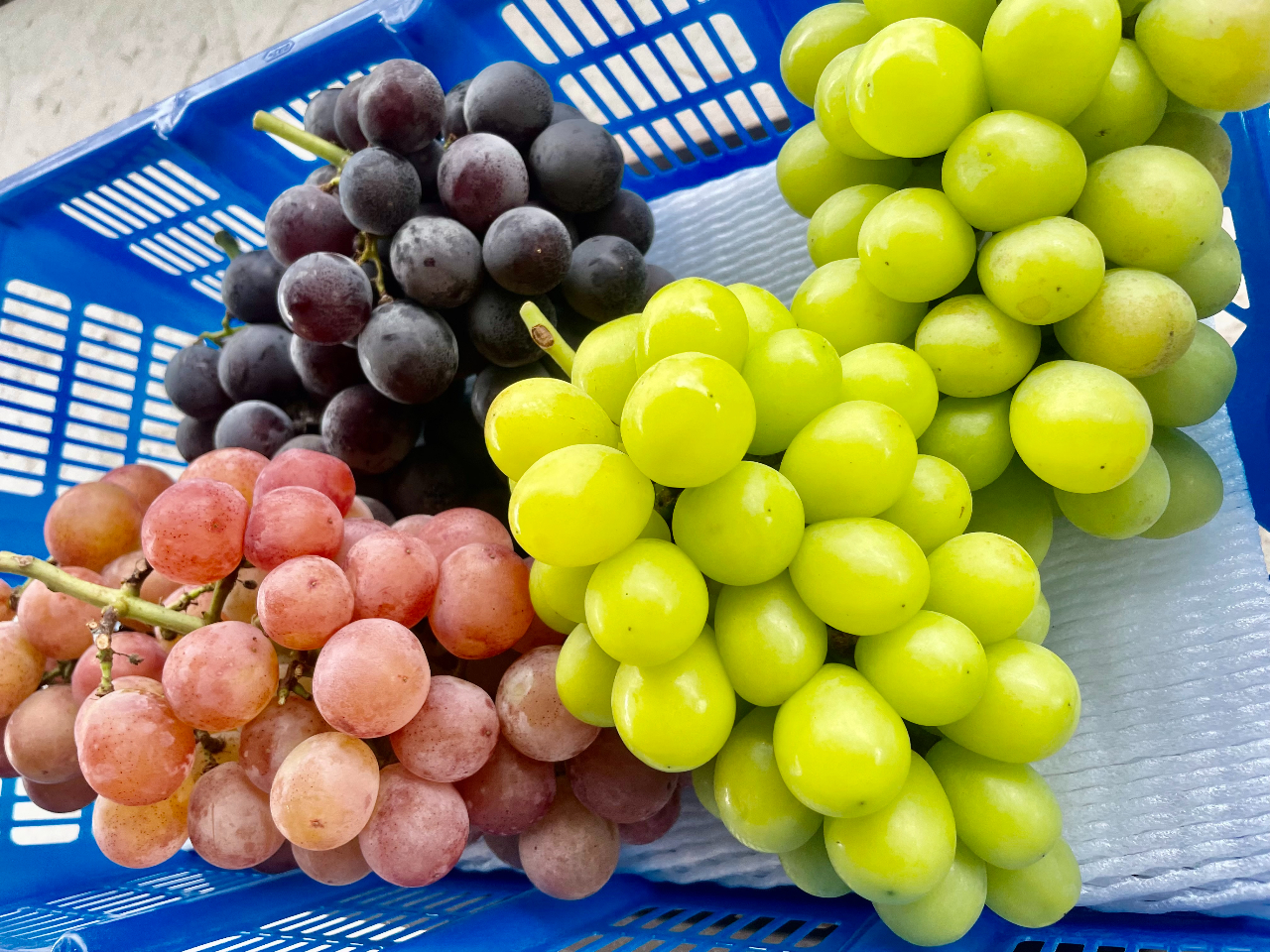 �F�X�Ȗ����y���߂�u���܂����Z�b�g�v���l�C�ł���