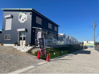 紺色の壁と緑色の屋根が目印の直売所