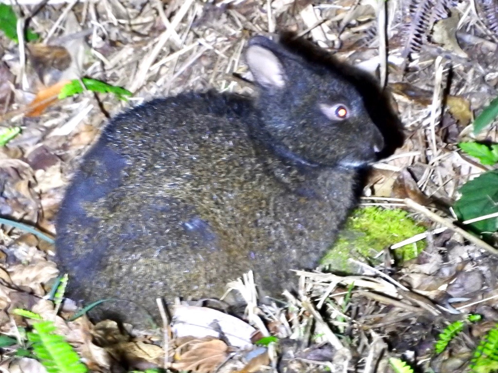 lC`[KCh͑\͂ߊyX^btI㋉~iۗLňSyڂ/yڂ y`xeFKCh̑\