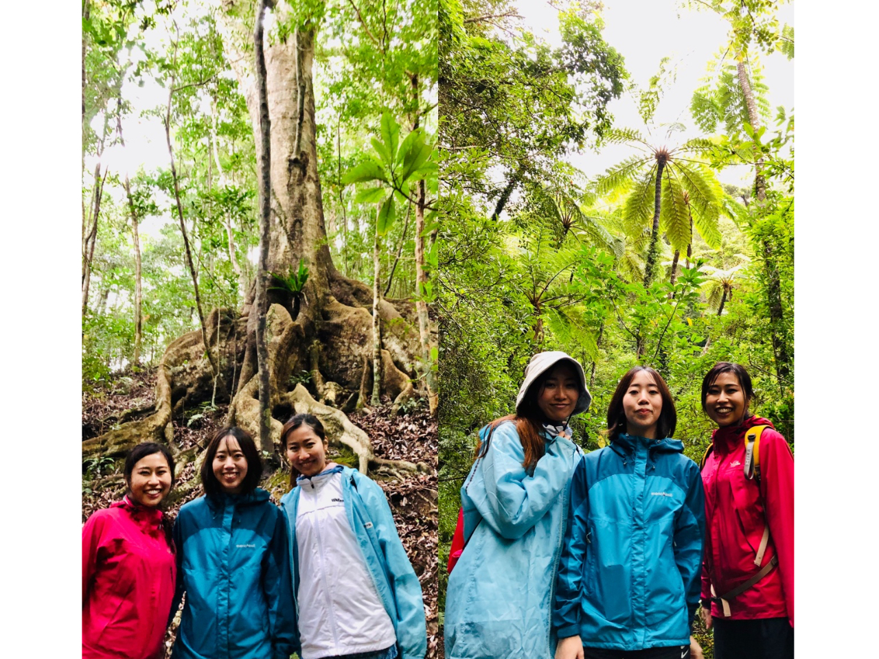 WVbNp[N̗lȃqJQփS̋،Q200N̉EWKV̋؂ɂo܂B