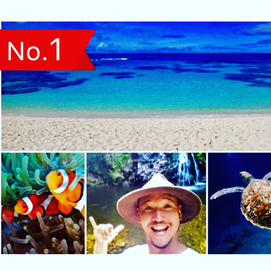 yňԔyC݁I̓AVm[POcA[z2019E2021lCNO1Vm[PE̓ATECKMыƃVm[PO