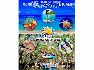 世界自然遺産・奄美大島の大人気1日満喫ツアー!【奄美で一番美しい土盛海岸!青の洞窟シュノーケリング&マングローブ原生林カヌーツアー】移動送迎・鶏飯ランチ付