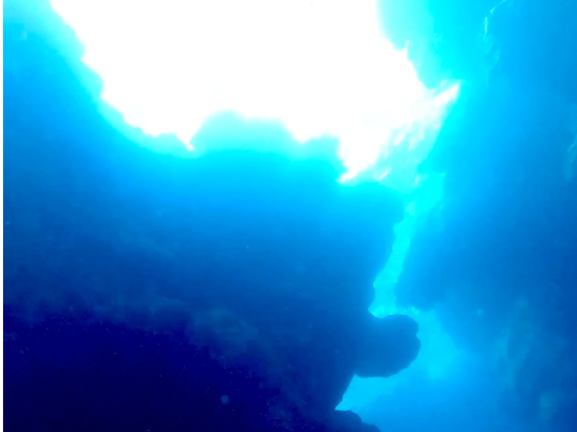 ňԔyC݁E̓A͎X̐_aEin`|CgłByC݂Ɛ̓A|Cg𔭌Ĉēł͉̂lC`[KChłB