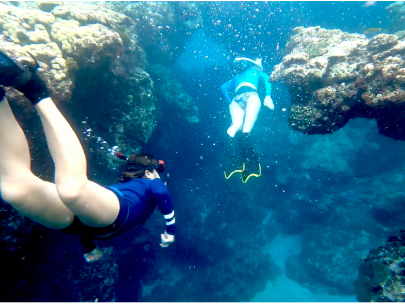 \閧́y̓AEn`|CgzX̐_aE̓A̐ǐꂽ_Co[́unCCOłȂYȊC͌ƂȂIvƐ^łB