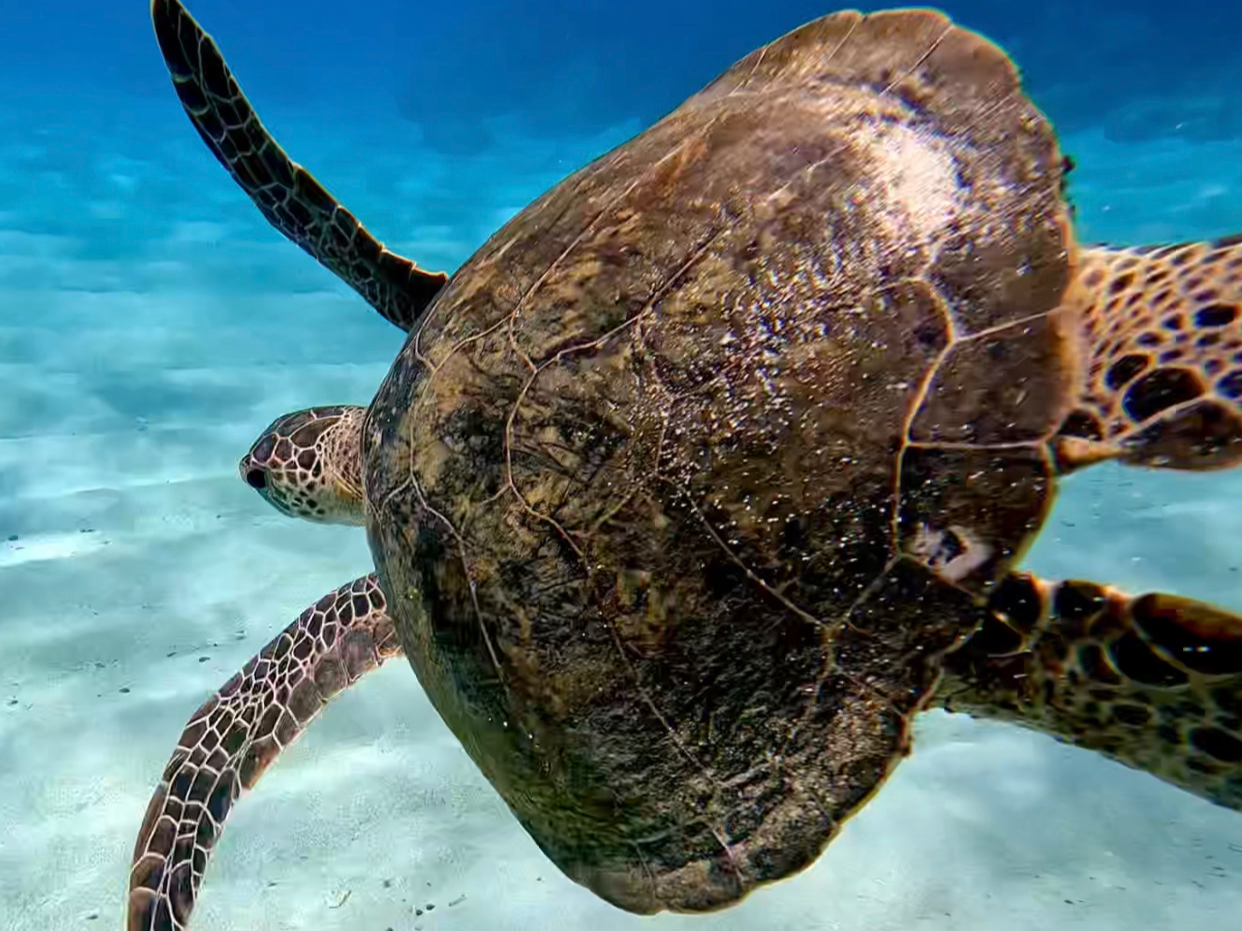 E~K70EK́yE~KƉjVm[PO z߁Iu[𖞋i̓E~KVm[POƂQROUN߁I