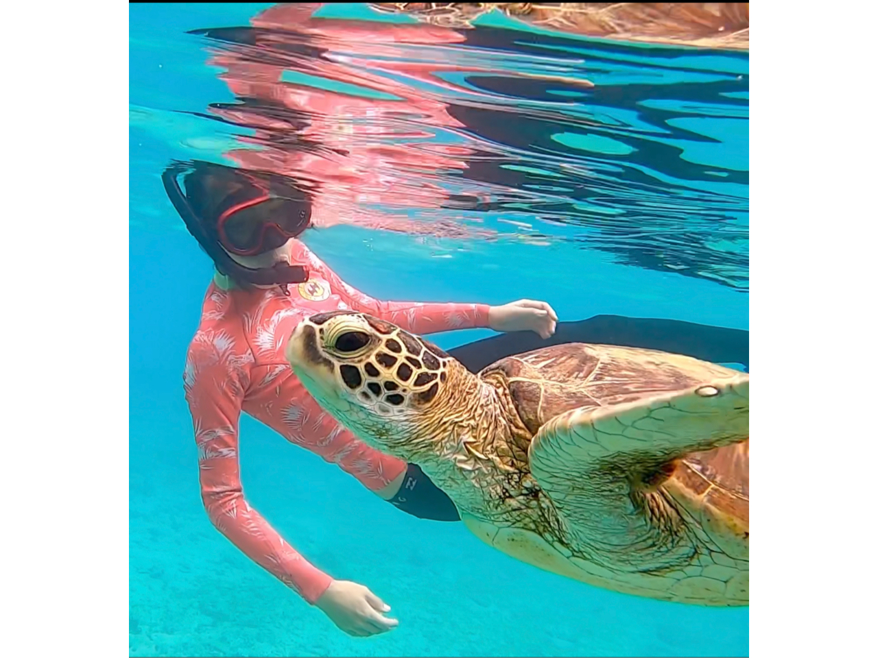 哇̃E~KƉjꐶɈx̍ō̎vo͉lC`[KChɂCIf炵CŐl̊тƊv[gI