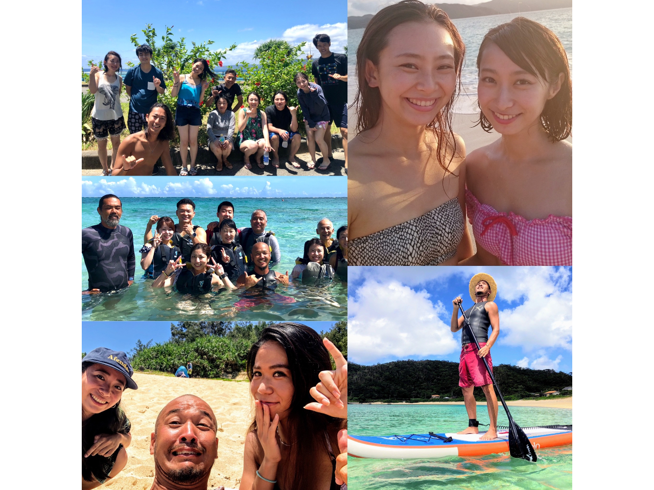  GO WILDEGO FREEDOMENEVER STOP EXPROLING  lC`[KCh̃e[}