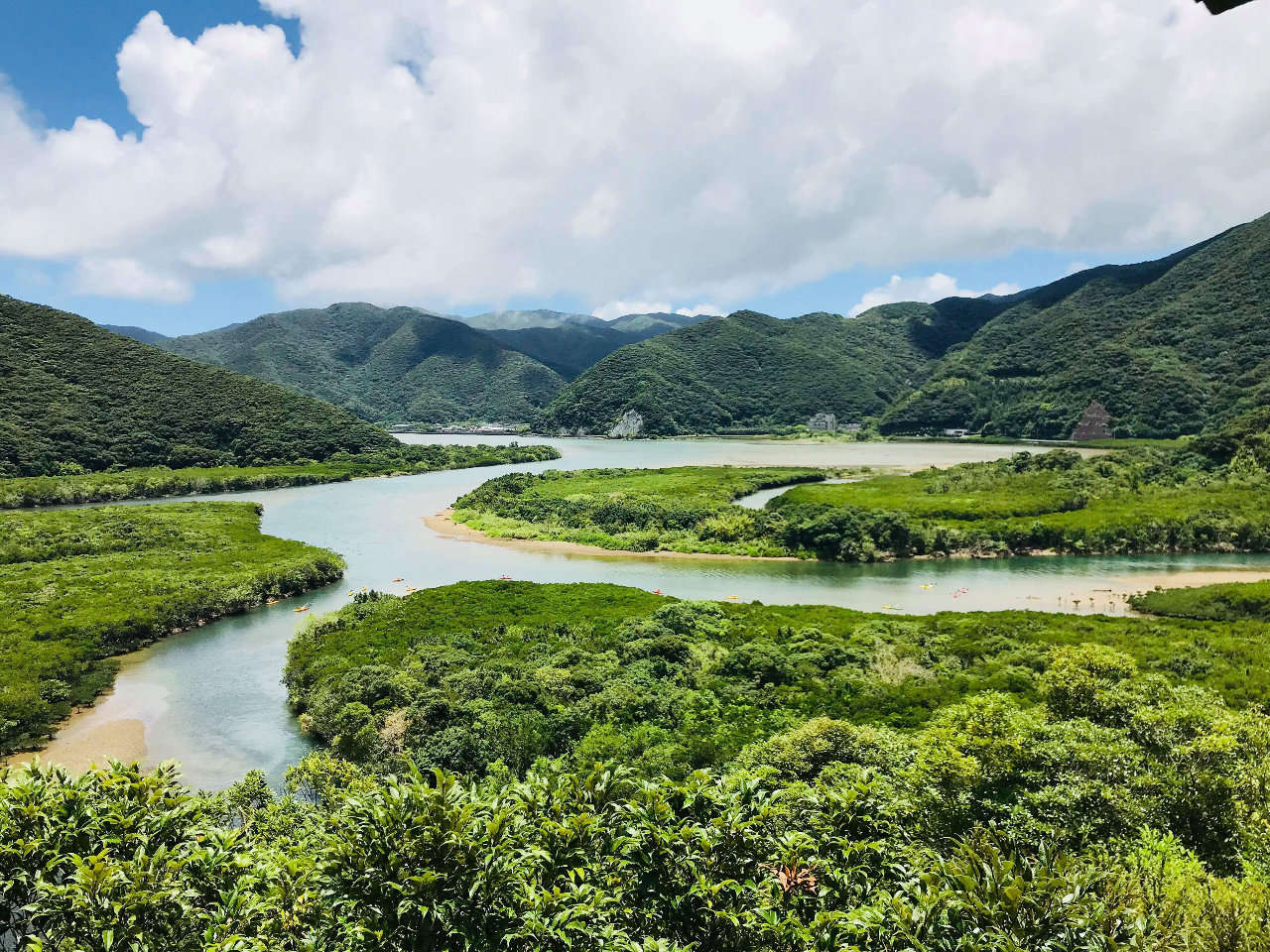 ̃}O[uт͓{łQԖڂ̑傫Ih[PRtVQha̍LB̂т1E5Ԃ̃Jk[^C𖞋i