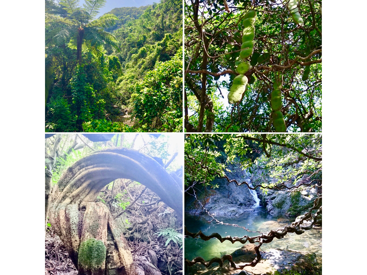 Ђɂ͂Ȃ_}̐XƑcA[gݍ킹cA[EiEtHgWFjbNȔ閧̃X|bgłB