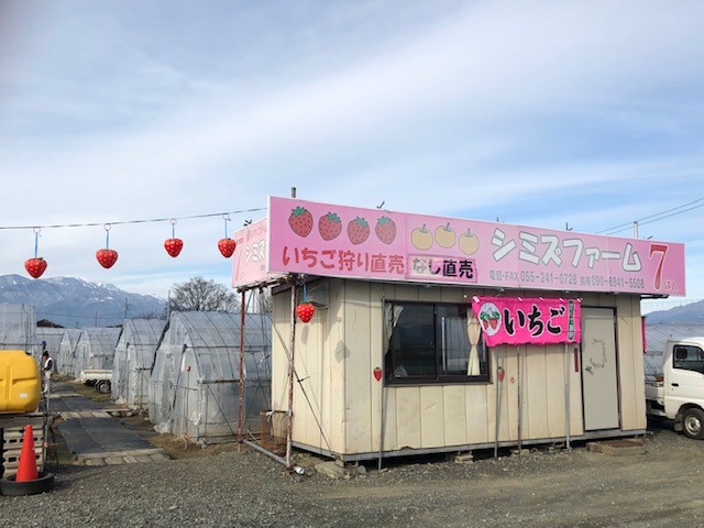 �s���N�̊ŔƂ�������ڎw���Ă��z�����������I