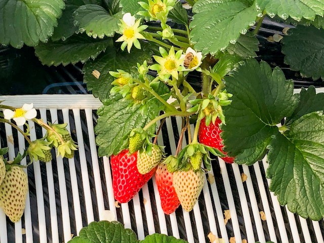 �n�`����͓����ҁ�