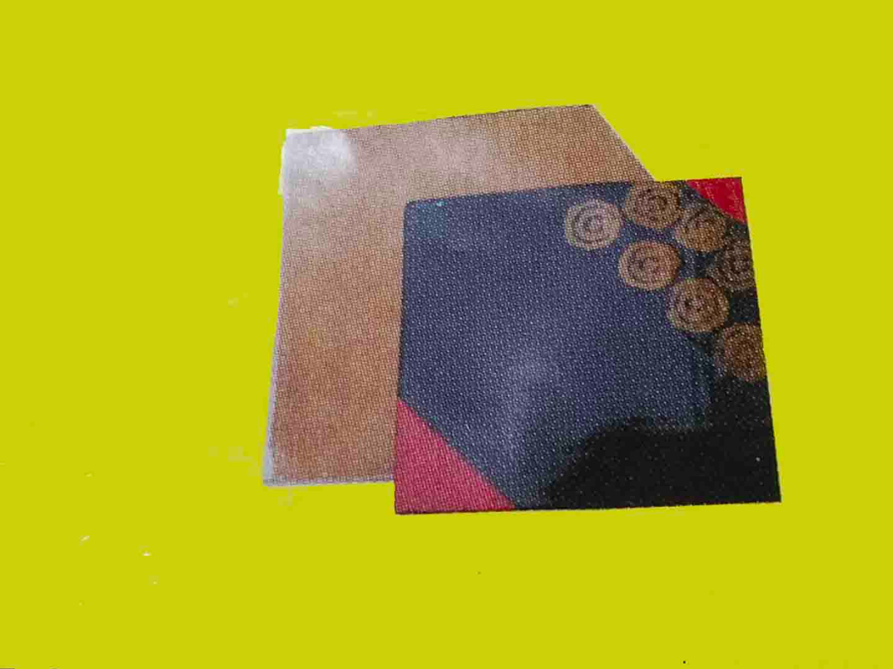 ʐ^͖{p̓h{łA̗lȊ{̔Iőp̊Gť܂B