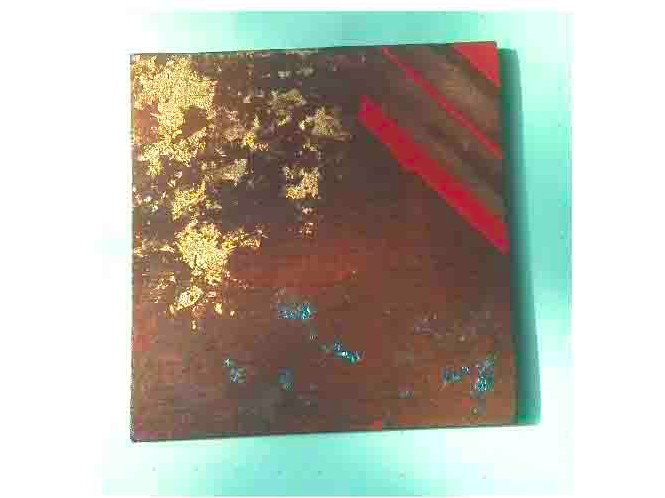 ʐ^͖{p̓h{łA̗lȊ{Ił̑pGt\B