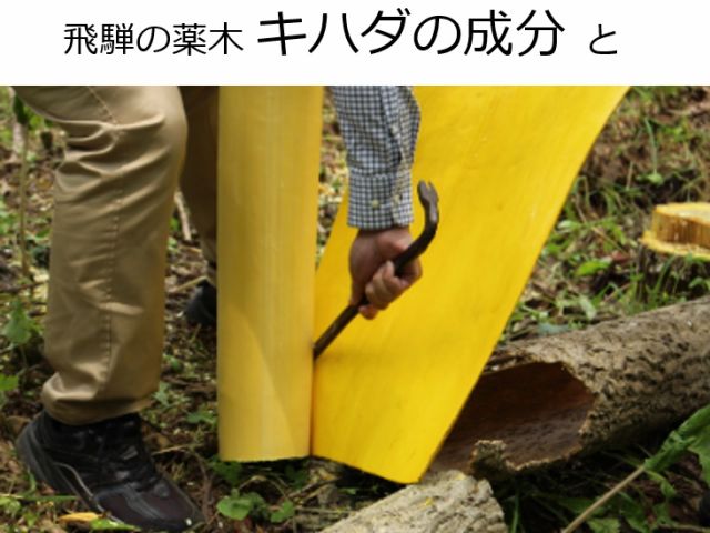 ここ飛騨地方の奥地で採れる特別な薬効成分♪