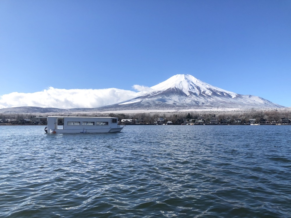 JTMނ̌bg[gCtDŃJTMނ ԂOK Sґ劽}I 