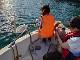 エサやりを楽しんでいます。