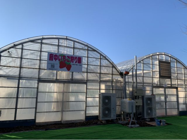 いちごの看板が目印です。