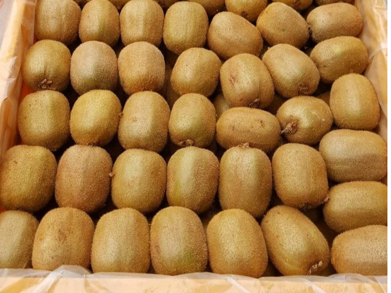 1つがとても大きい! 大きくても小さくても甘さは同じ! 大きいのが人気です(こちらはお持ち帰りの量ではありません、お持ち帰りは1カゴ10個程になります)