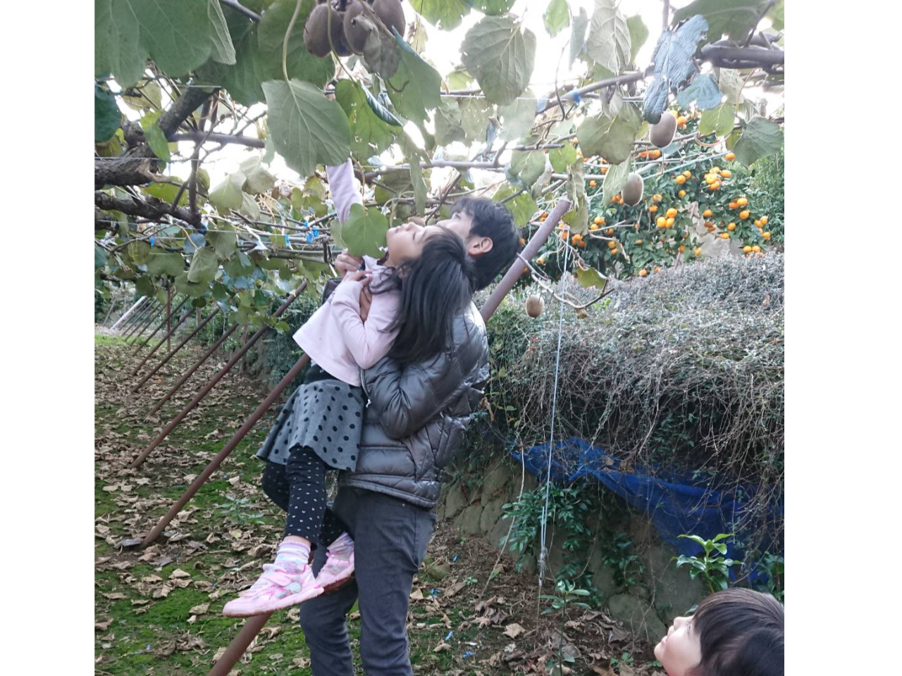 届かない所は抱っこしてあげてください♪♪