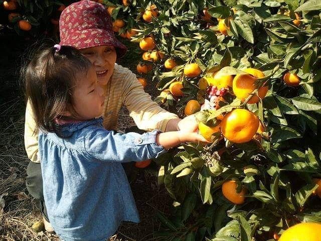3世代の再会や冬の恒例イベントに毎年訪れてくれる人もいます