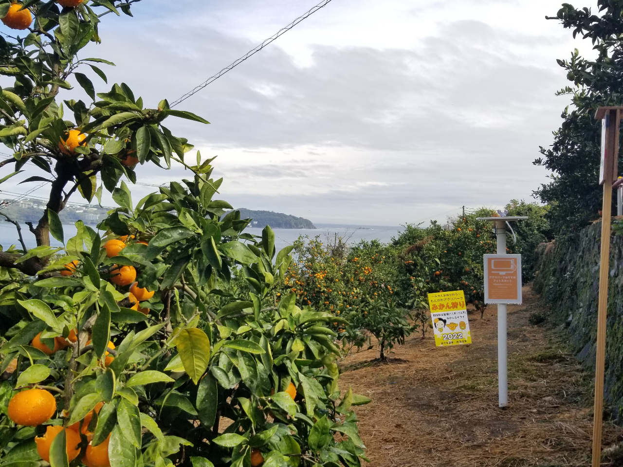 園内に2か所写真スポットを設けています、是非皆さんでお写真撮ってくださいね♪