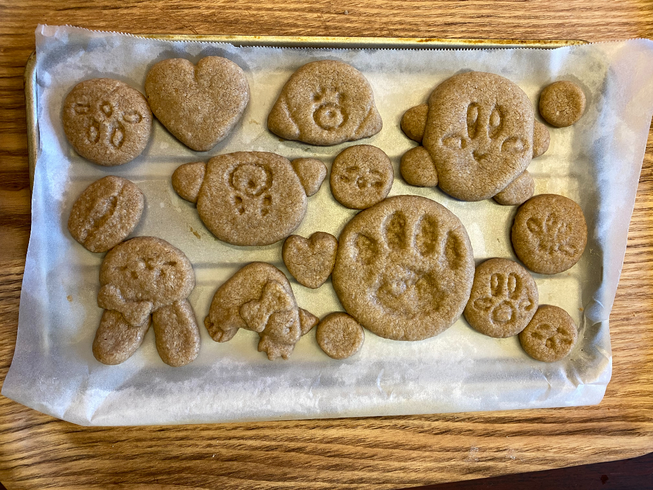 ���̉w �������� ���΂�̐X�r�W�^�[�Z���^�[�̎ʐ^1