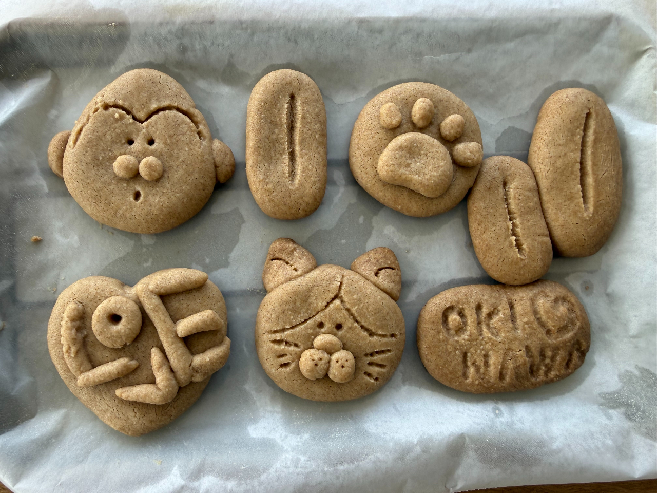 ���̉w �������� ���΂�̐X�r�W�^�[�Z���^�[�̎ʐ^3