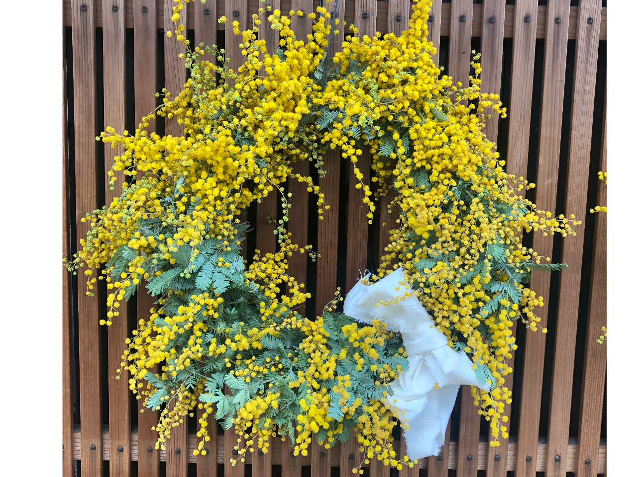 早春だけのミモザリース