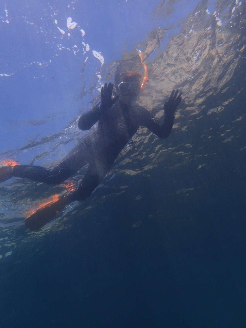 【勝浦シュノーケリング】海に心からつかって、素敵な思いでを作ってみませんか!