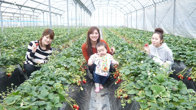 yk͔|łA̓V[g~l߂Ă̂ŉhȂĂ܂􂲉ƑA₲FlmȂǊFl劽}