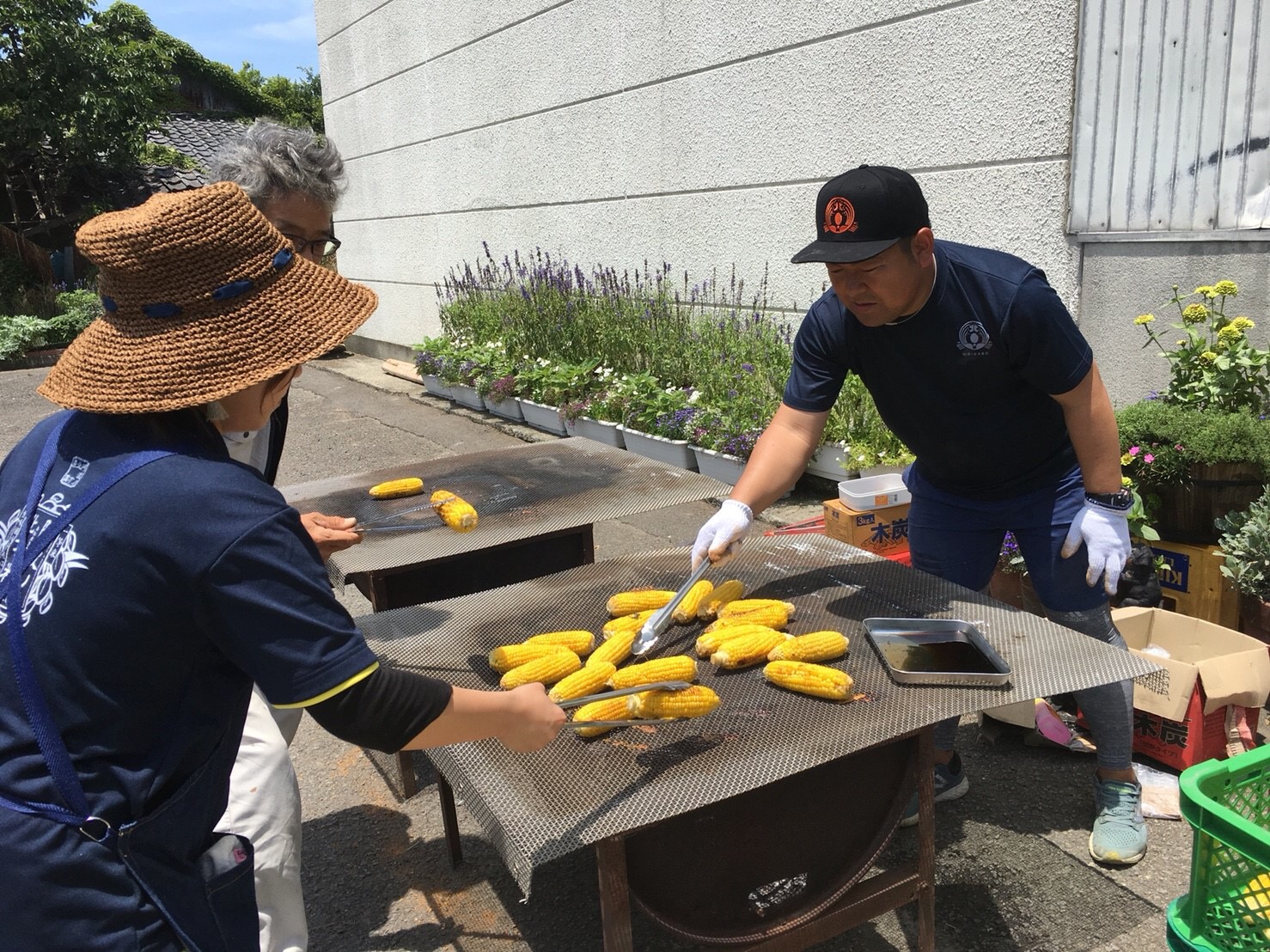 畑で食べよう もぎたて野菜 生で食べられるスーパースイートコーン狩り♪ 焼きとうもろこし付き！/阿波ノ北方農園