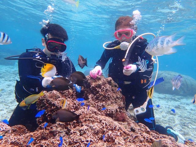 エアやり体験ではさまざまなお魚たちが集まります★水中世界では新たな発見が沢山あります!大人にも素敵で忘れられない体験になります♪
