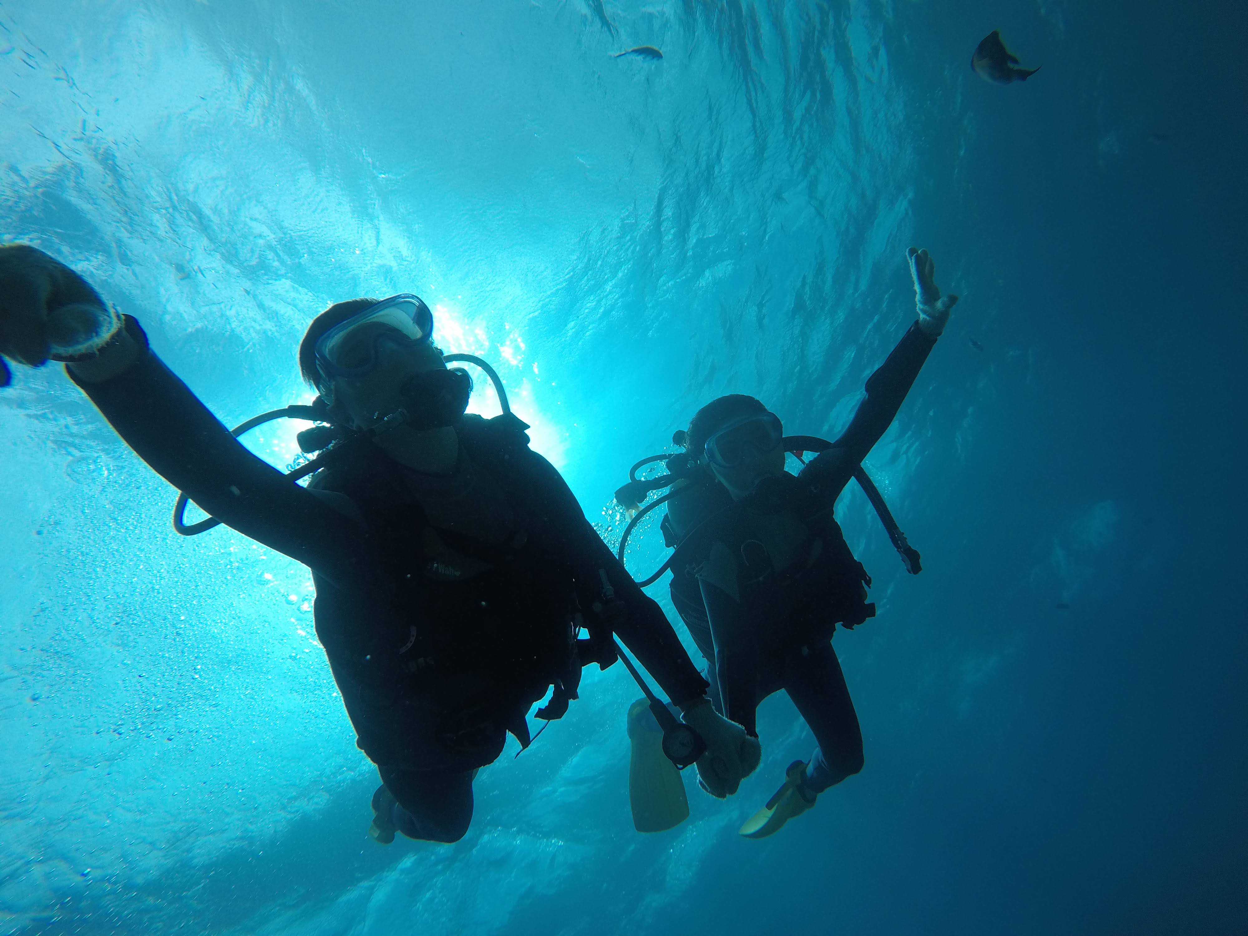 ͂܂ŕʐEIł͖킦Ȃ̌