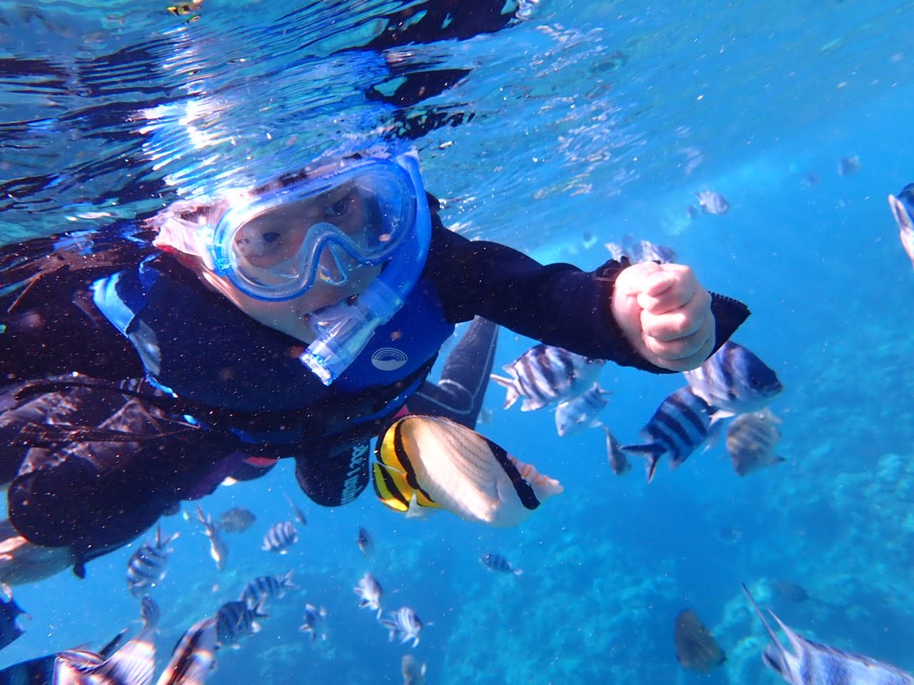 エサやり体験も出来ます!たまに手元から直接食べてくれるお魚もいます(^^)触れる距離まで来てくれる懐っこいお魚たち♪