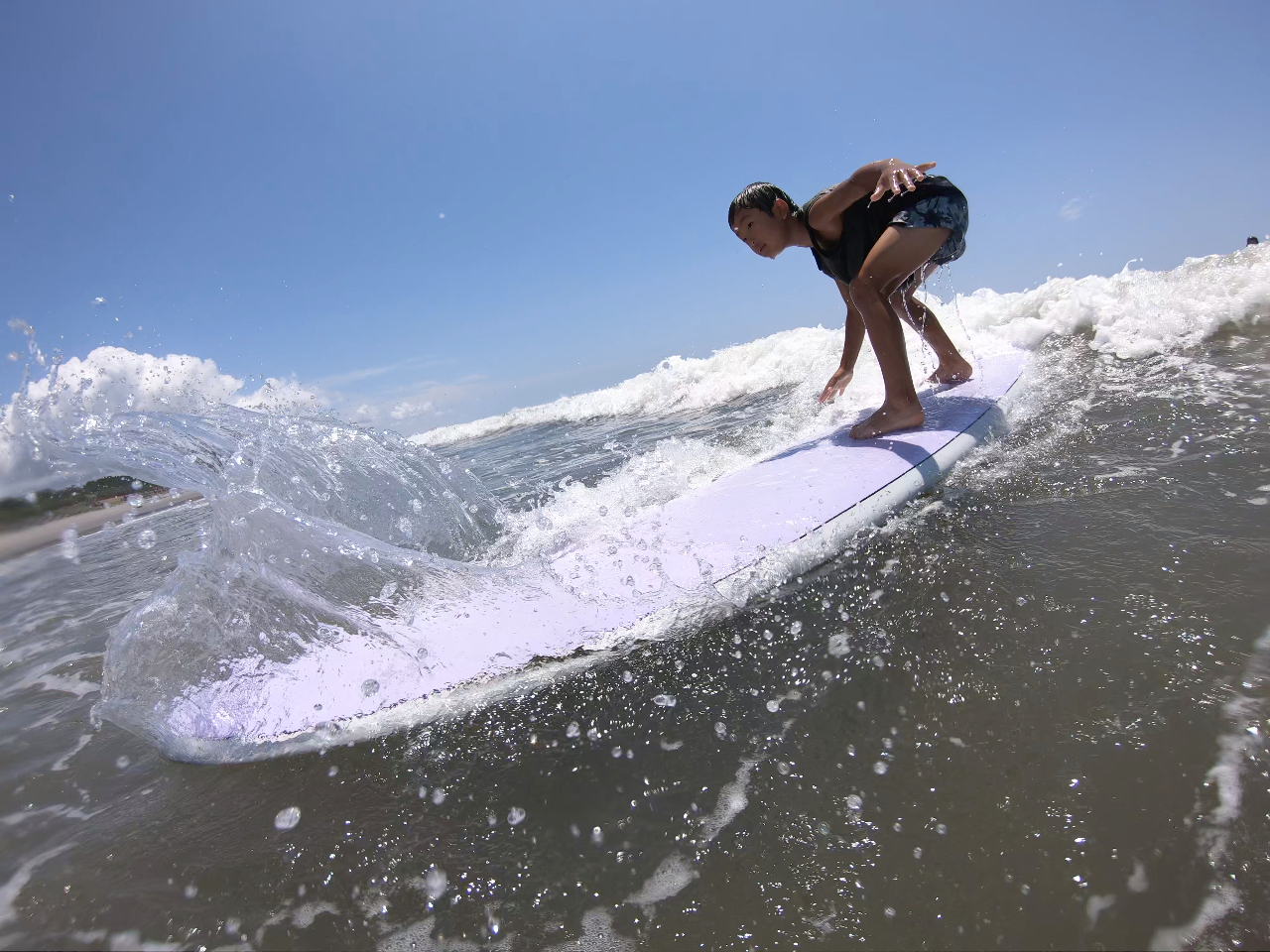 �ΐ��s�T�[�t�B���̌��������@�ΐ��s�V����������C��