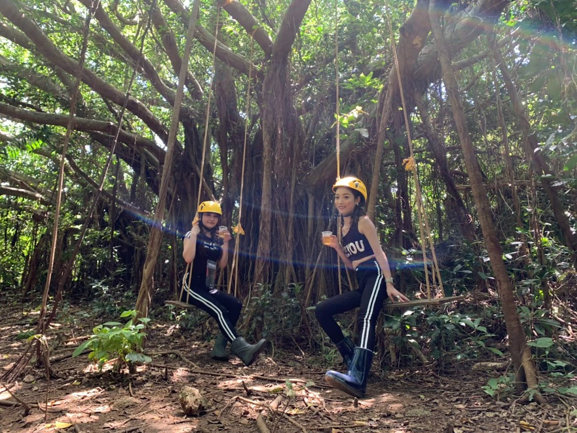 樹齢○○○年!?多幸の樹ガジュマルでパワーチャージ!