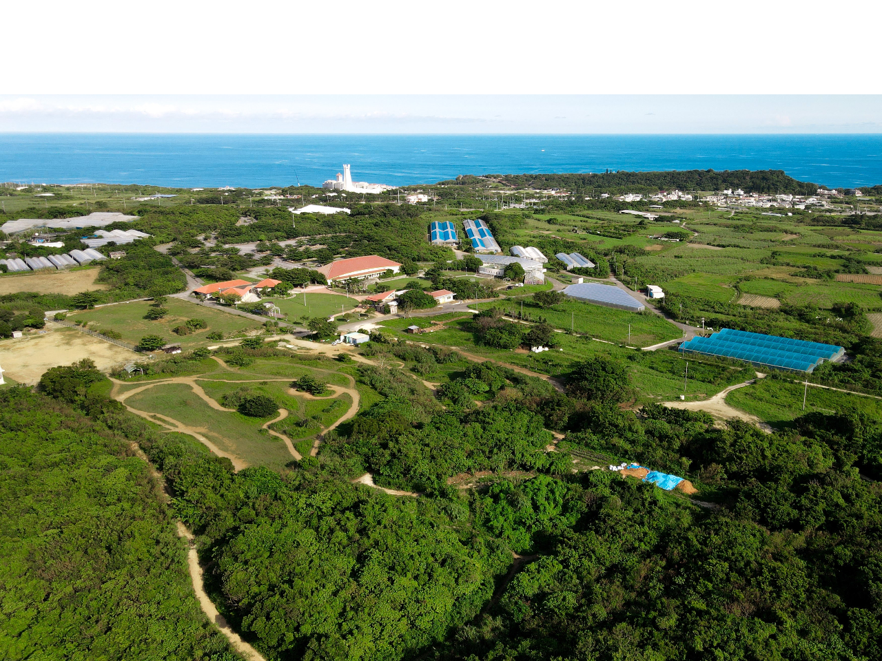 糸満の自然が皆様をお迎えします♪