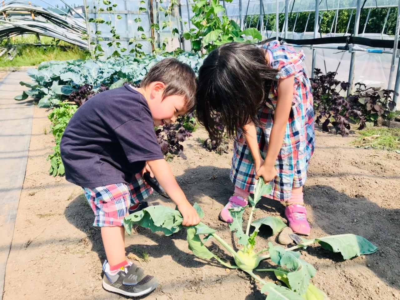 FXȖ؂̎nɃ`WIqǂy߂I