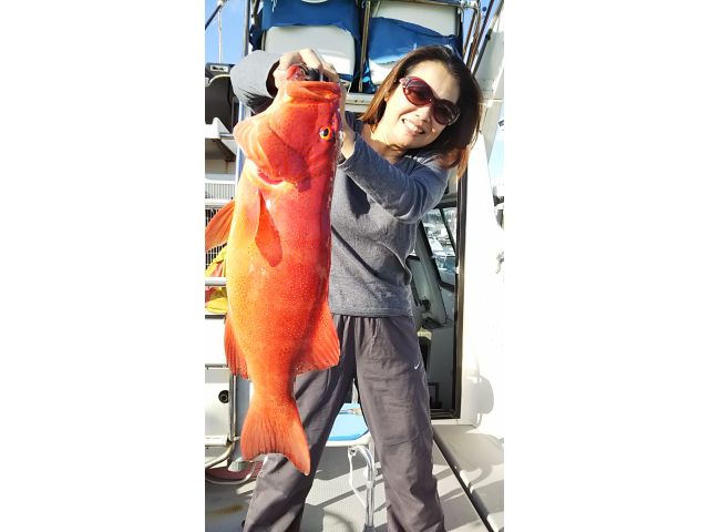 強烈な引きですが、女性でも沢山釣れています。