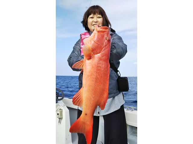 前半釣れた小魚はイケスで活かして、後半の生き餌となります。この生き餌が食われる瞬間のドキドキが最高です。