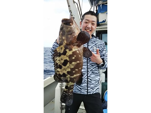 ハタ類は種類も豊富。どれも最高に美味な人気の高級魚です。